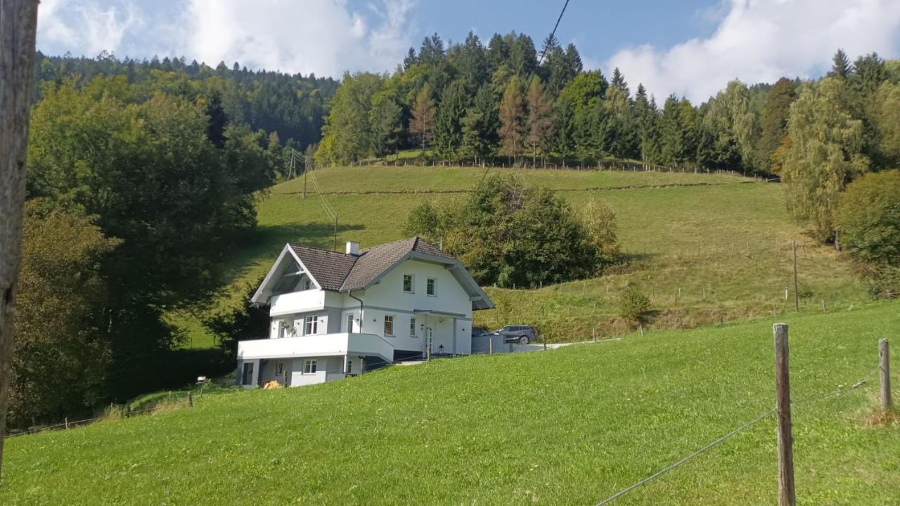 Aparts Lakeview -Gerlitzen -Ossiacher See -Ski Tratten  Exterior photo